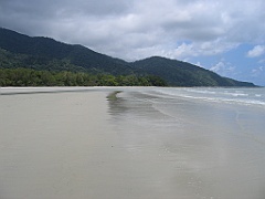 CairnsTC357 Daintree